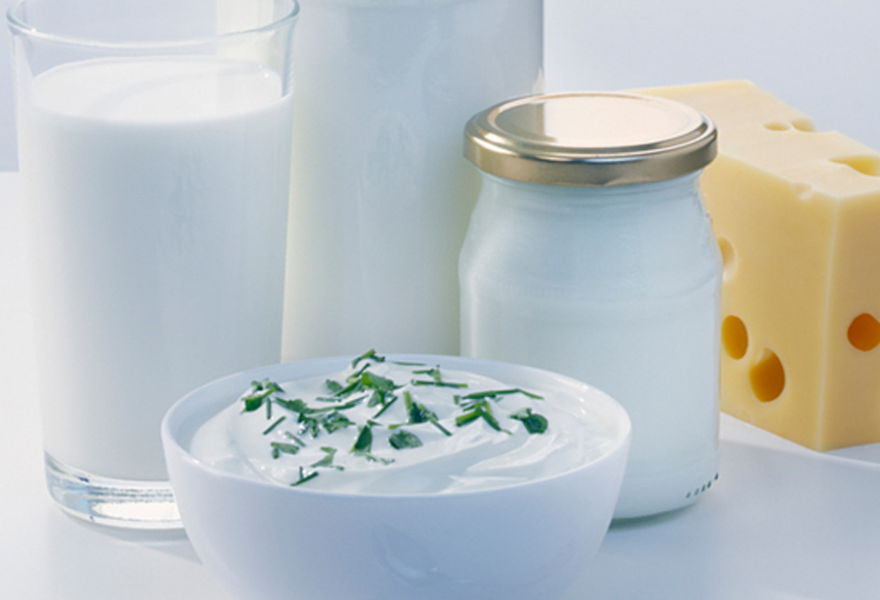 Die Bedeutung von Milchprodukten für die Gesundheit